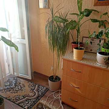 Київська вул., 146