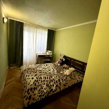Петра Панча вул., 11