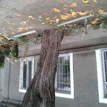Павла Клепацького вул., 18