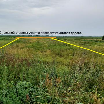 Амосова