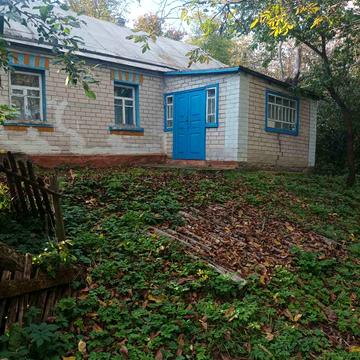 Ярова, 51