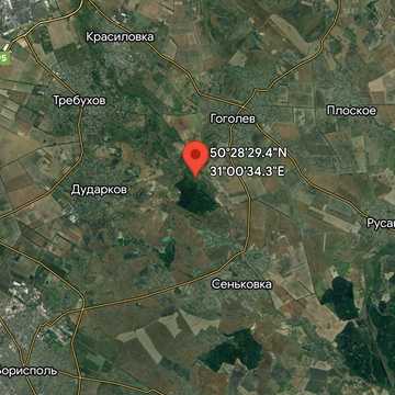 Займище, Бориспільський, Київська область 2000.0 USD