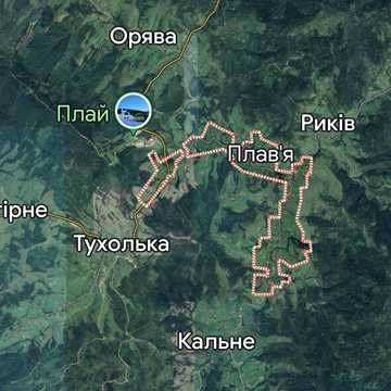 Плав'я, Стрийський, Львівська область 37500.0 USD