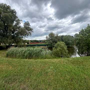 Нові Безрадичі, Обухівський, Київська область 110000.0 USD