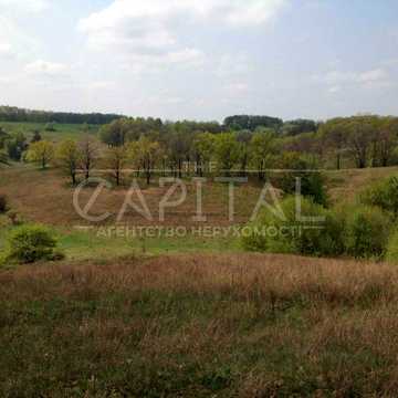 Великі Дмитровичі, Обухівський, Київська область 299000.0 USD