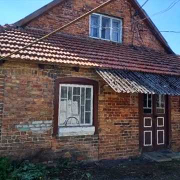 Зелена, 8