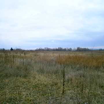 Центральна вул. (Леніна), 1