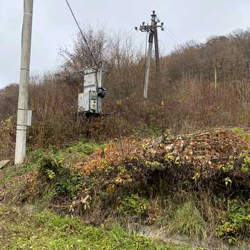 Барвінкова