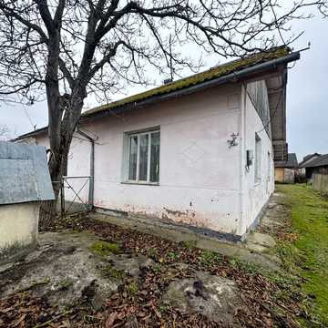 івасюка