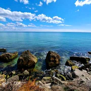Береговая