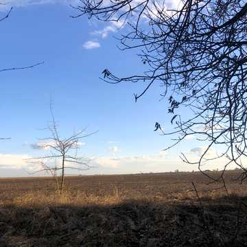 Блиставиця, Бучанський, Київська область 70000.0 USD