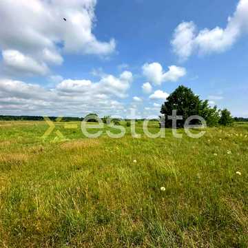 Димер, Вишгородський, Київська область 9000.0 USD