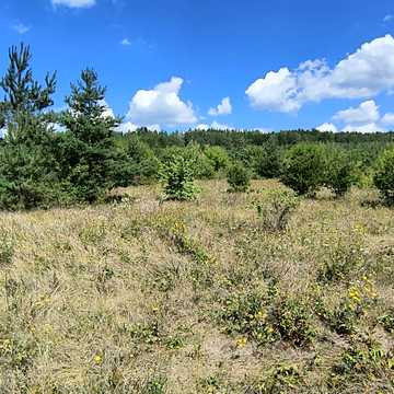 Рудківці, Кам'янець-подільський, Хмельницька область 6500.0 USD