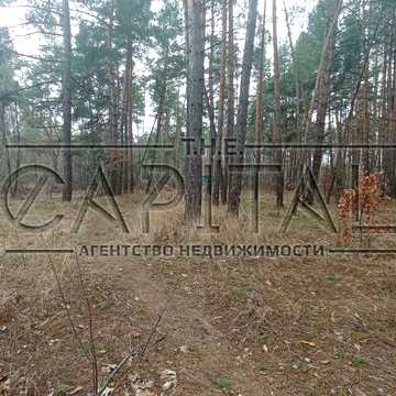 Плюти, Обухівський, Київська область 460000.0 USD