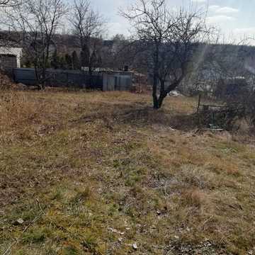 весела