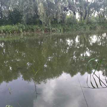 Садова