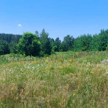 Гореничі, Бучанський, Київська область 1200000.0 USD