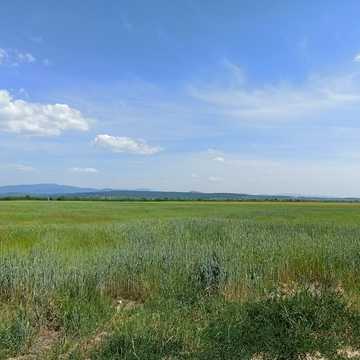 Коритняни, Ужгородський, Закарпатська область 25000.0 USD
