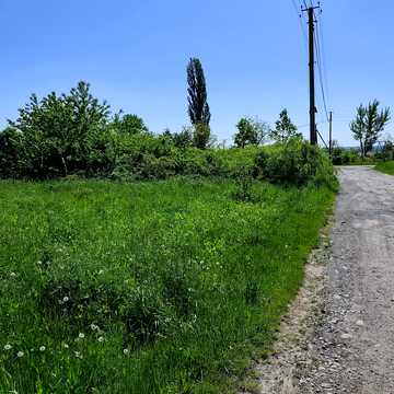Рибна