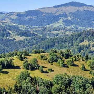Шевченка, 3