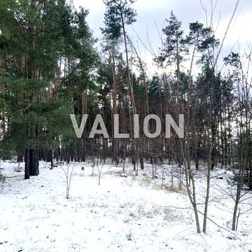 Лебедівка, Вишгородський, Київська область 100000.0 USD