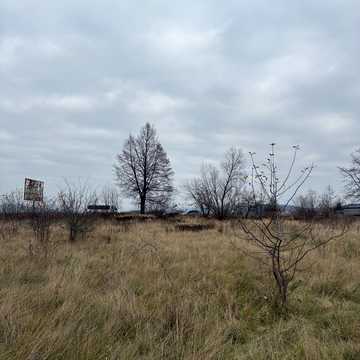 Тячів, Тячівський, Закарпатська область 30000.0 USD