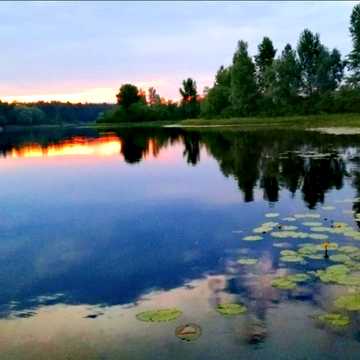 Хотянівка, Вишгородський, Київська область 210000.0 USD