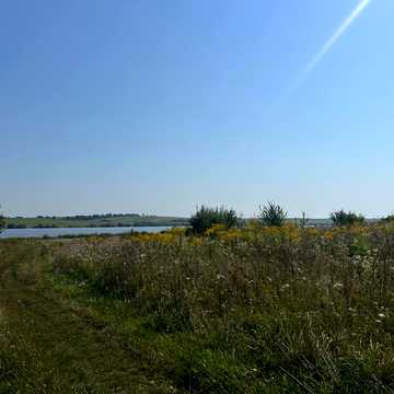 Широка, 143