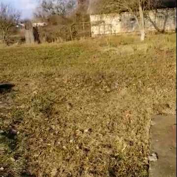 Леси Украинки