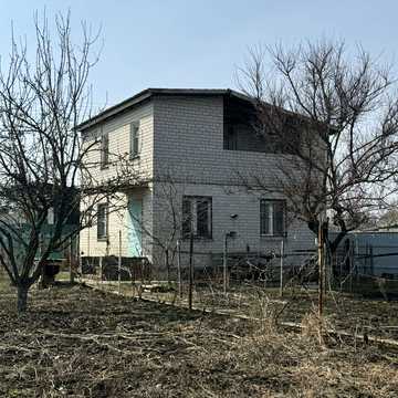 Абрикосова