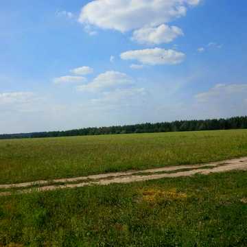 лісова