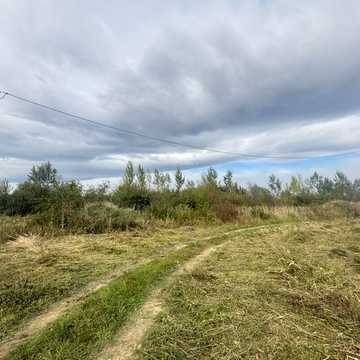 Гончара