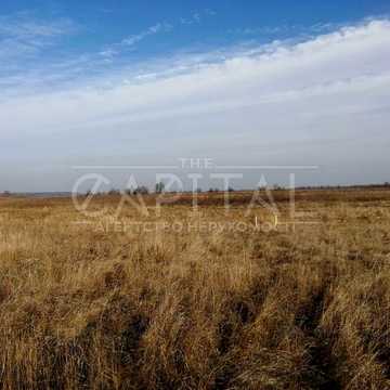 Сувид, Вишгородський, Київська область 111000.0 USD