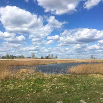Ленінна