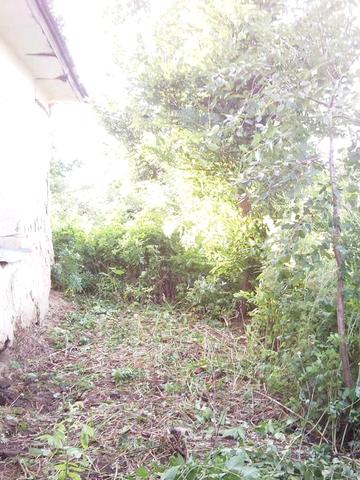 Продається будинок під реставрацію із земельною ділянкою, смт Цибулів