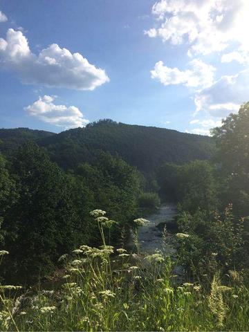 Квартира в Косові. Квартира в Карпатах