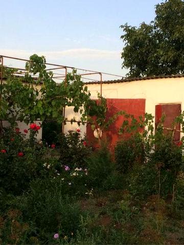 Продаж будинку/ продажа дома терміново Баштанка