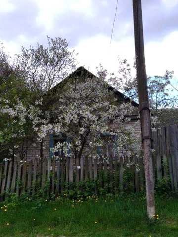 Продам будинок в селі