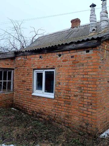 Продам дом с. Борки