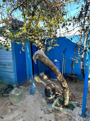 Продам дом в Черноморке