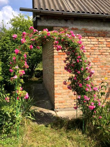 Дача Фурси ДК «Фіаніт» 8 соток+будиночок