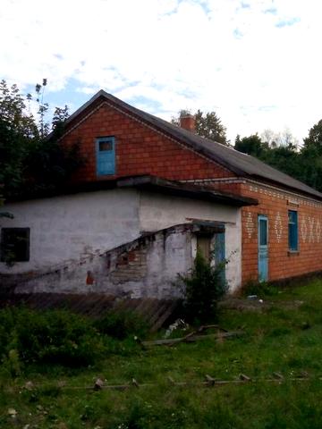 Будинок з гаражем