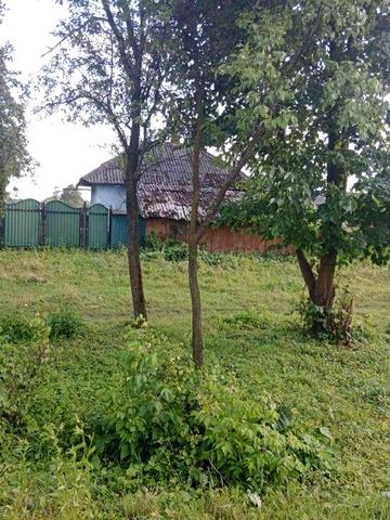 Хата будинок дача земельна ділянка