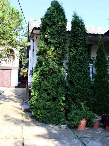 Продається сімейний будинок - дача в в селі Oклі-геть,