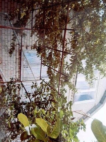 Продается дом-дача  в Отрадово