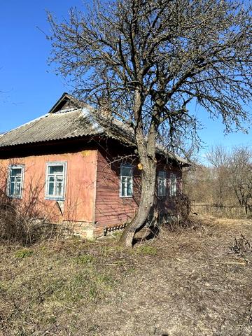 Продам будинок на березі Снову