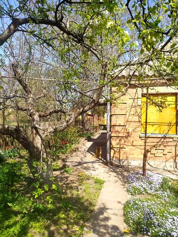 Продаж приватного будинку з гаражем, дім