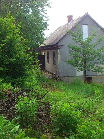 Терміново продам дачу в с. Н.Солотвино!