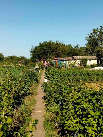 Продам дачу на Рассвете (Світанок)