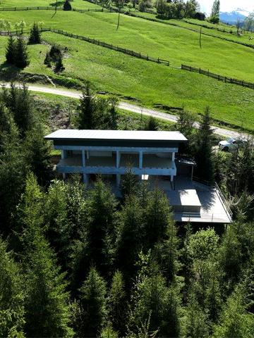 Будинок серед лісу без сусідів.